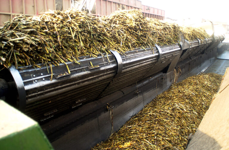 Las exportaciones agroindustriales crecieron 4,5% en volumen durante el primer semestre de 2025