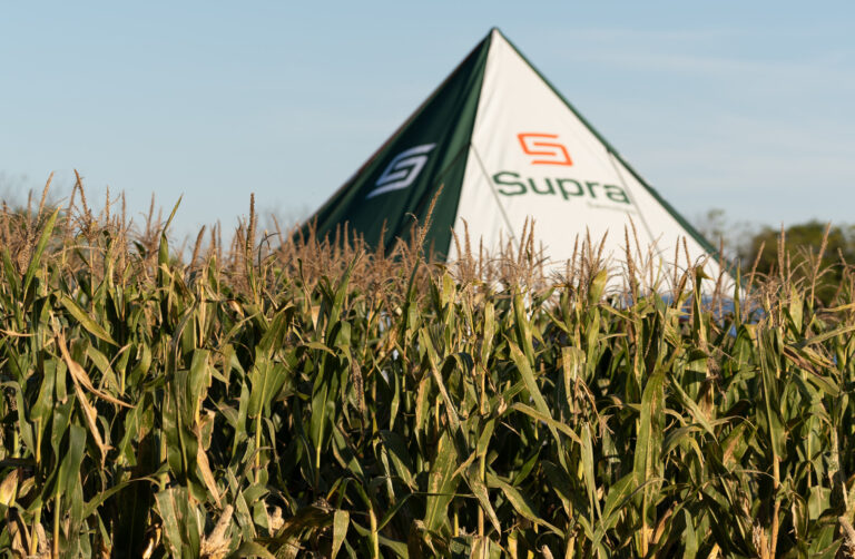 Supra Semillas se consolida en el mercado maicero argentino con propuesta integral y foco en el productor