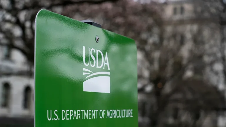 El USDA agita los mercados: maíz en mínimos y soja alza precios