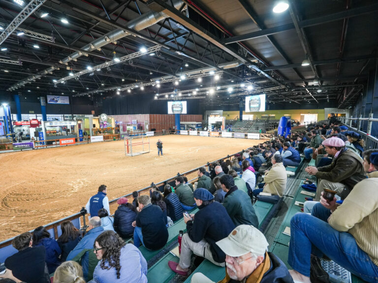 «El Camino de los Campeones» debuta en la Semana Angus: instancia inédita para preparadores de elite