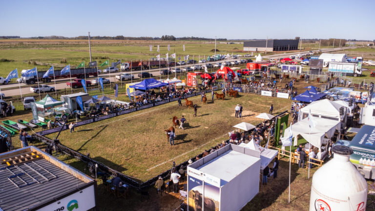 Semana Angus de Primavera 2025: Cañuelas, epicentro de la genética de elite y la innovación ganadera