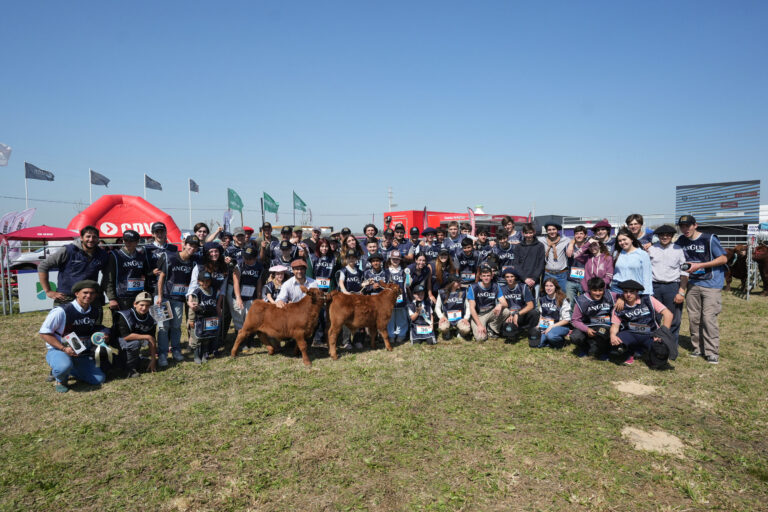 Angus prepara a sus futuras estrellas: la Jura Junior ofrece formación práctica en la pista