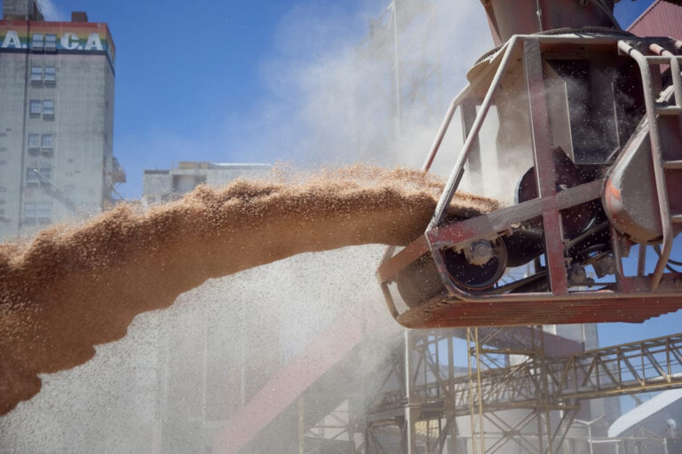 Exportaciones agropecuarias alcanzan cifras históricas en los primeros ocho meses del año