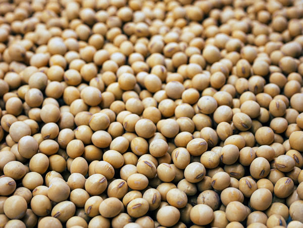 El Seminario ACSOJA 2025 debate el futuro de la agroindustria en la Bolsa de Rosario