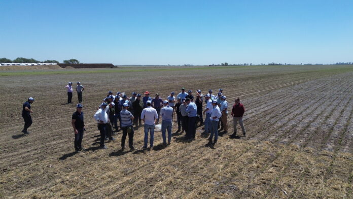 bayer general cabrera mundoagrocba