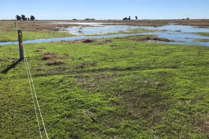 excesos hidricos inta mundoagrocba