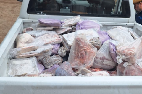 faena clandestina mundoagrocba