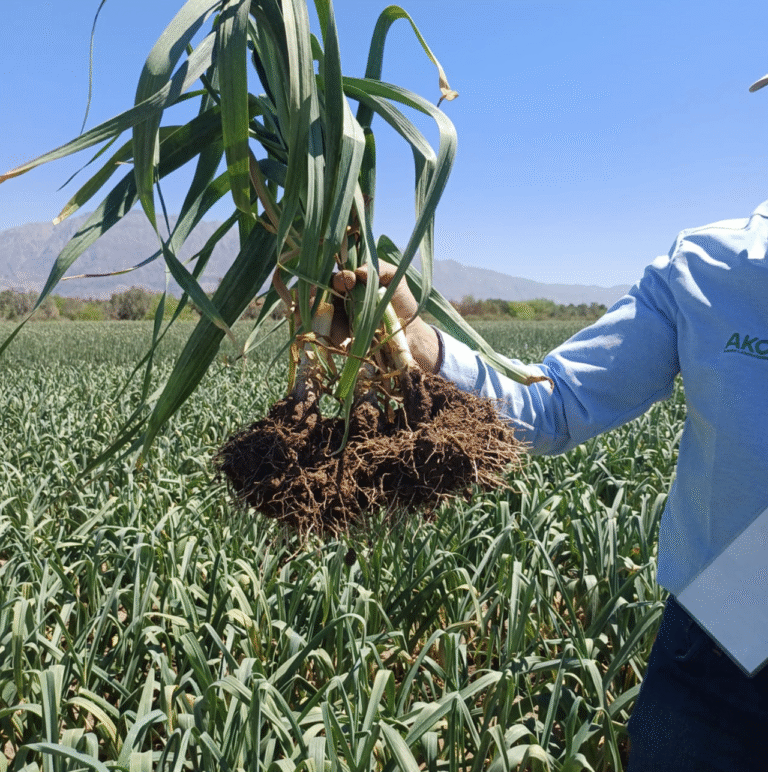 La Nanotecnología foliar redefine la nutrición agrícola en Expo Innova Cuyo