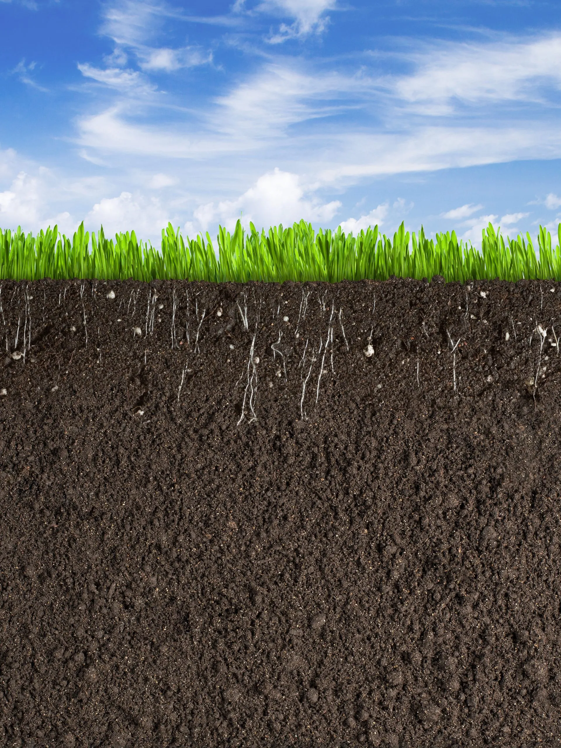 Suelos: el INTA Río Primero lanza jornada crucial para la campaña gruesa