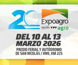 WhatsApp Image 2025-11-13 at 15.18.46