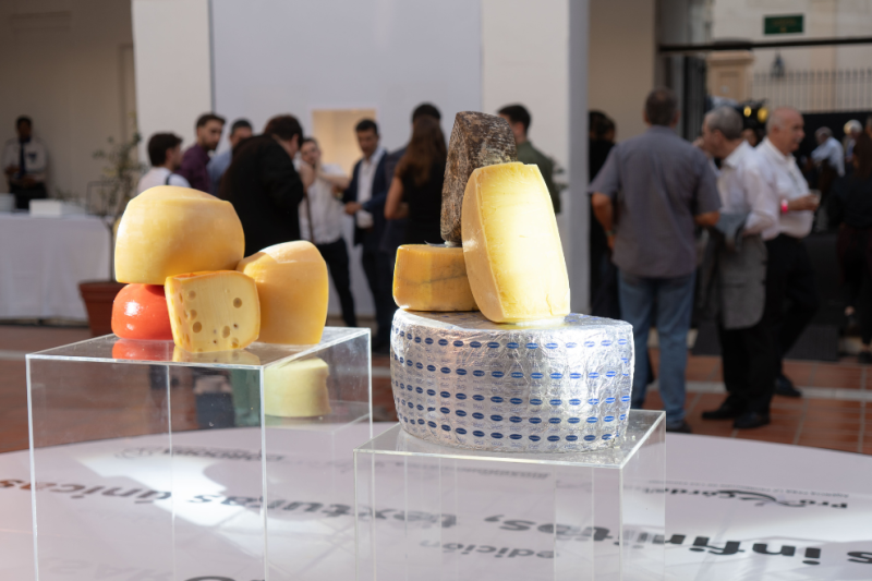 Quesos cordobeses: una década de tradición y arte en el corazón productivo
