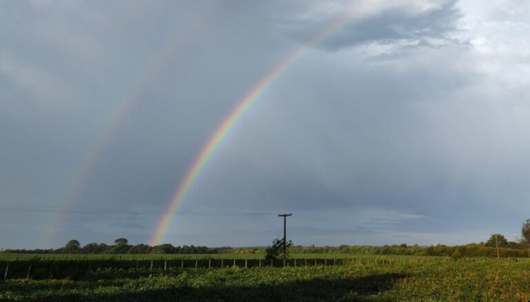 Alerta agrícola: probabilidad de «La Niña» sube al 67% para el verano 2025/26