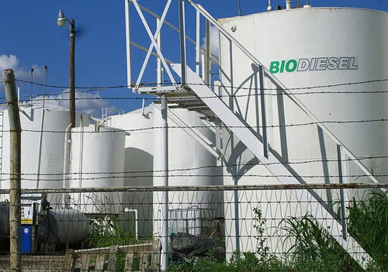 Biodiésel: se abre la puerta de los US$ 1.000 millones