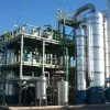 Triunfo clave para el agro: la soja argentina recupera terreno en el mercado europeo de biocombustibles