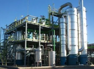 Triunfo clave para el agro: la soja argentina recupera terreno en el mercado europeo de biocombustibles