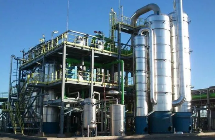 Triunfo clave para el agro: la soja argentina recupera terreno en el mercado europeo de biocombustibles