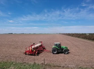 Soja en crisis: tiemblan por el «cuello de botella» logístico