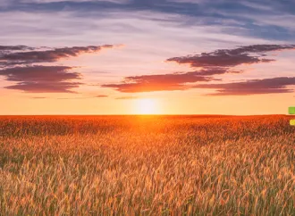 Retenciones al rojo vivo: el efecto argentino que remarcó los precios mundiales