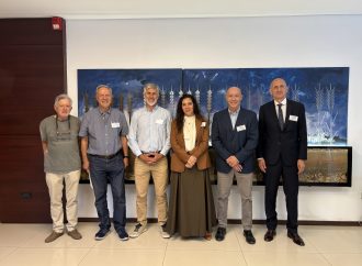 Buffel grass: La clave del INTA para potenciar la ganadería en el semiárido de San Luis