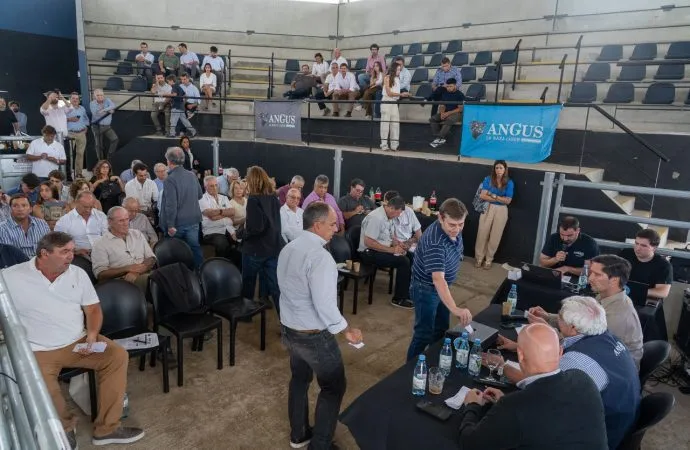 La Asociación Argentina de Angus definió sus jurados para las Exposiciones de 2026