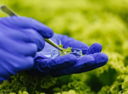 CIAFA: El pilar estratégico que impulsa la producción y la sustentabilidad en el agro argentino