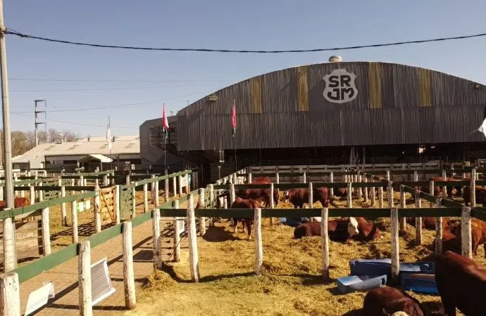 Consignaciones Córdoba anuncia 2.000 cabezas para su último remate del 2025