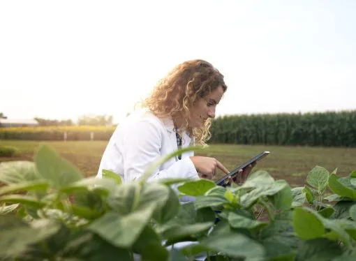 Digitalización: Agrospot impulsa un nuevo modelo comercial para recuperar el margen en el agro argentino