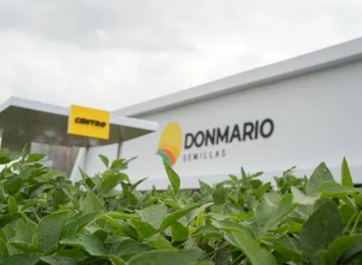 DONMARIO revela su estrategia para la soja de segunda: genética y manejo por ambiente
