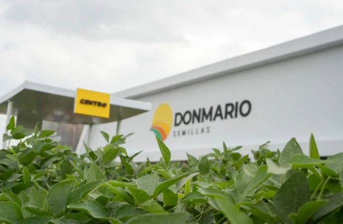 DONMARIO revela su estrategia para la soja de segunda: genética y manejo por ambiente