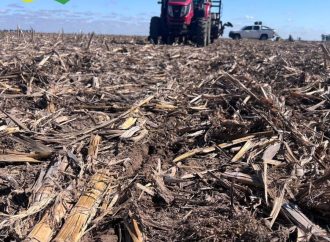 Grupo Rio Seco: R.E.N.TA. añade Soja a sus ensayos y expande la evaluación de Maíz al NEA y NOA