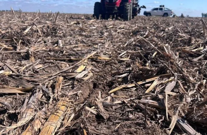 Grupo Rio Seco: R.E.N.TA. añade Soja a sus ensayos y expande la evaluación de Maíz al NEA y NOA