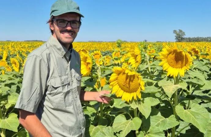 El Girasol se consagra como apuesta ganadora en los lotes más restrictivos de Córdoba