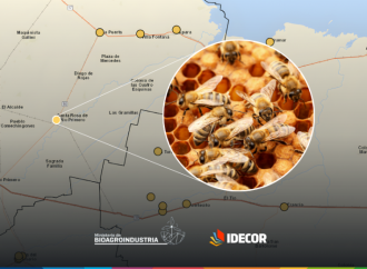 Ganadería publica el mapa de Salas de extracción de Miel para fortalecer la producción Apícola en Córdoba