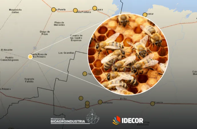 Ganadería publica el mapa de Salas de extracción de Miel para fortalecer la producción Apícola en Córdoba