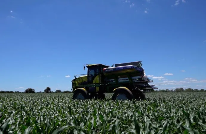 Evolución Sostenible: El Nitrógeno eficiente potencia  la rentabilidad del maíz