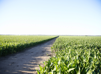 Se extiende el plazo para inscribirse al Seguro Multirriesgo Agrícola gratuito en Córdoba