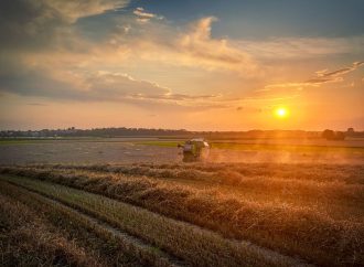 Cosecha: el peligro oculto que cuesta millones