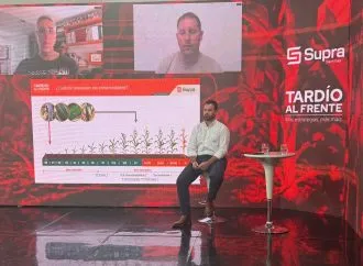 Supra: La Clave genética y económica para fortalecer el Maíz tardío