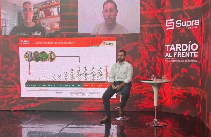 Supra: La Clave genética y económica para fortalecer el Maíz tardío