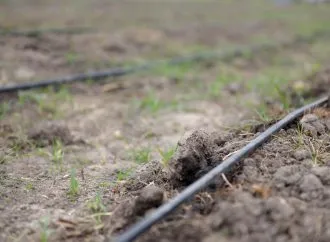 Innovación biológica: la coinoculación y el tratamiento profesional de semillas transforman la campaña agrícola