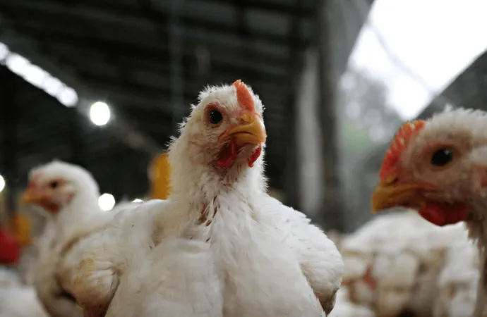 Economías Regionales: la inflación y los costos frenan la recuperación en gran parte del país