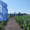 BASF fortalece su estrategia agrícola con la adquisición global de AgBiTech