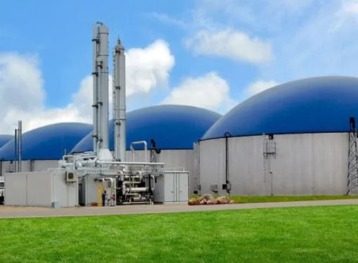 De Entre Ríos a Alemania: La empresa argentina que transforma residuos avícolas en energía exportable