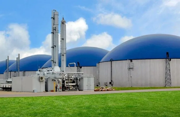 De Entre Ríos a Alemania: La empresa argentina que transforma residuos avícolas en energía exportable