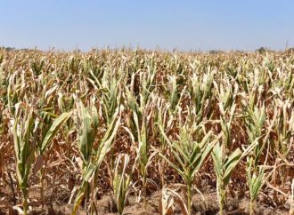 Alerta meteorológica: Ola de calor extrema azotará el centro del país con máximas de 40 °C