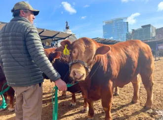 Impulso para sectores lácteos y ganaderos: Bioagroindustria entregó créditos en el sur provincial