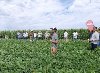 Sanidad que se traduce en rinde: la estrategia clave para blindar la soja en una campaña exigente