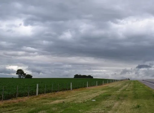 Alivio dispar para el agro: las lluvias frenan el deterioro, pero las pérdidas en el maíz ya alcanzan el 50%