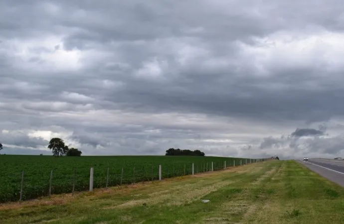 Alivio dispar para el agro: las lluvias frenan el deterioro, pero las pérdidas en el maíz ya alcanzan el 50%
