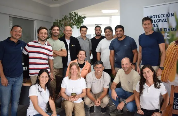 El norte cordobés refuerza el monitoreo de la chicharrita del maíz para evitar alarmas innecesarias